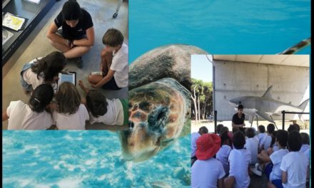 [Sindical] Fundació CRAM sense el projecte educatiu? ERO a AulaCRAM, l’espai formatiu de la Fundació per a la Conservació i Recuperació d’Animals Marins.